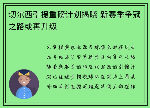 切尔西引援重磅计划揭晓 新赛季争冠之路或再升级